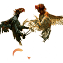 AWC